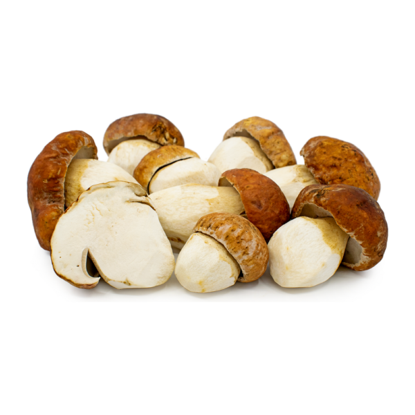 Porcini mushrooms for sale